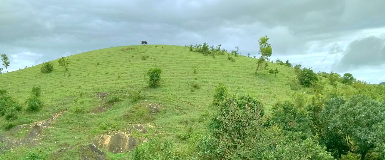 מלון Vagamon Clouds מראה חיצוני תמונה